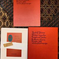 Rudolf Steiner – set completo (libro + tavole)