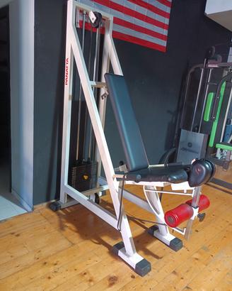 Leg extension Panatta Fantastic 