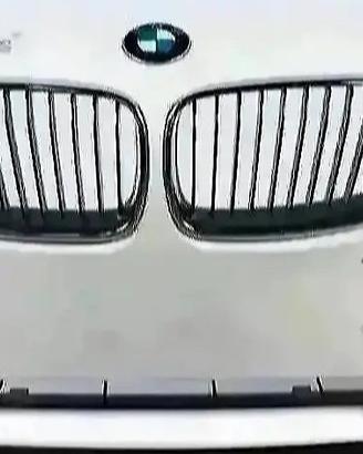 BMW 2 F22 F23 Paraurti Anteriore