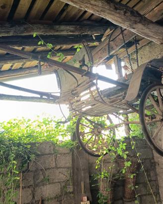 Calesse agricolo leggero a due ruote
