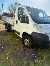 Fiat ducato 2014 cassone fisso