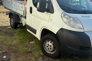 Fiat ducato 2014 cassone fisso