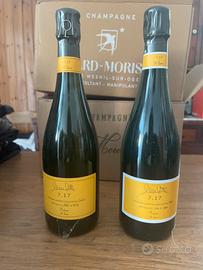 Vino Nicola Gatta 7.17