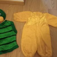 vestiti carnevale