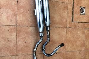Marmitte Virago 535 silvertail