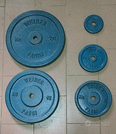 Set pesi Weider-Fassi