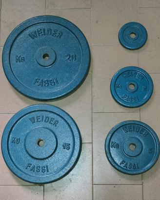 Set pesi Weider-Fassi