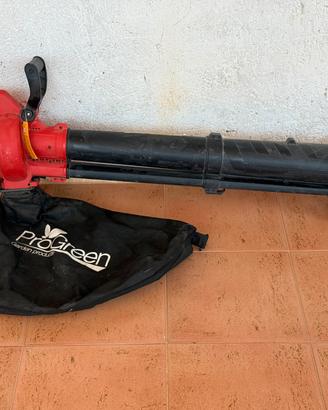 Soffiatore Aspiratore Trituratore ProGreen