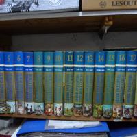 Unciclopedia universale curcio