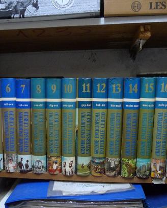 Unciclopedia universale curcio