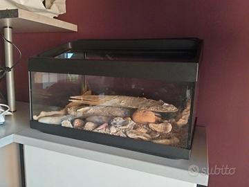 Acquario per tartarughe 