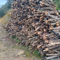 Legna da ardere tagliata pronta per l'utilizzo