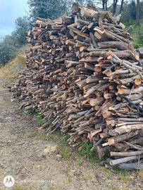 Legna da ardere tagliata pronta per l'utilizzo