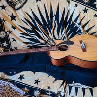 Basso acustico elettrificato Fender