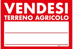 Terreno agricolo