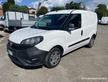 FIAT Doblo 1.3 MJT [M239]