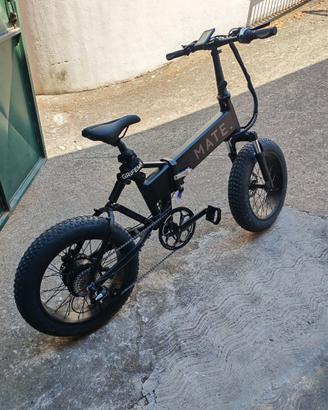 MateX 250W ebike pedalata assistita