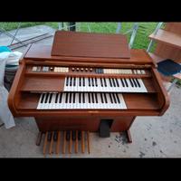 Organo 