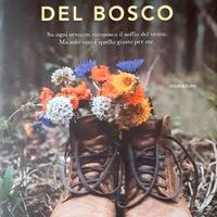 I bambini del bosco