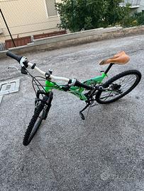 Mountain  bike