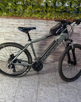 Bici elettrica
