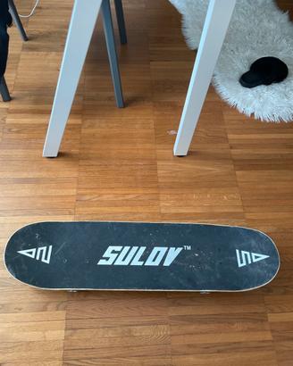 Skateboard