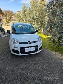 Fiat panda easy 1200 anno 07.2021