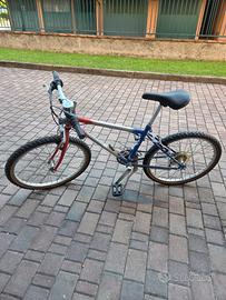 Bici Silvestrini