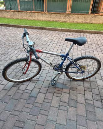 Bici Silvestrini