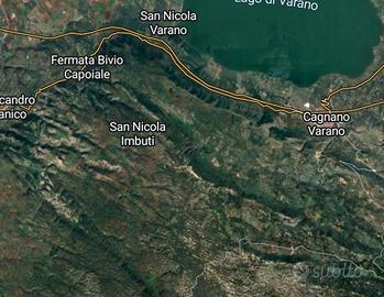 Terreno bosco tra Cagnano Varano e San Nicandro Ga
