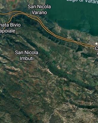 Terreno bosco tra Cagnano Varano e San Nicandro Ga