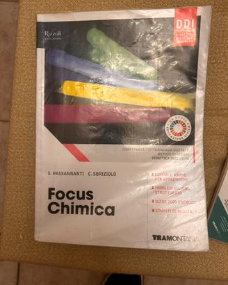 Libro focus chimica