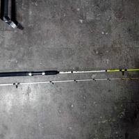 Canna Eging LineaEffe 