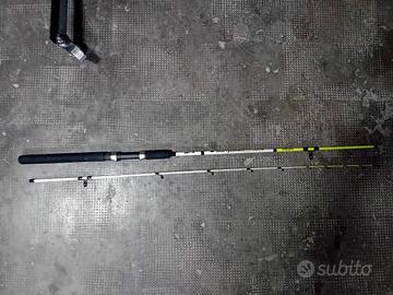 Canna Eging LineaEffe 