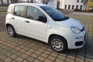 Piat Panda 1.2 Easy benzina