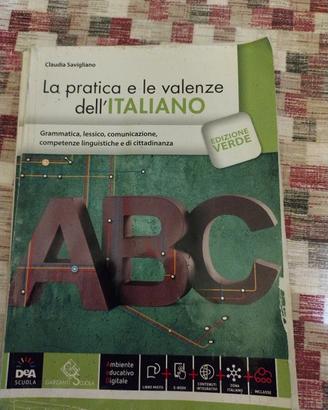 La pratica e le valenze dell' italiano 