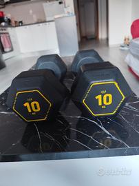 Coppia manubri 10kg