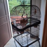 gabbia per volatili