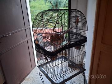 gabbia per volatili