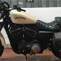 Harley sportster iron 883 del 2015