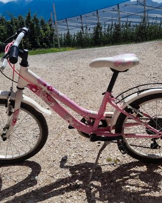 bicicletta per bambini 