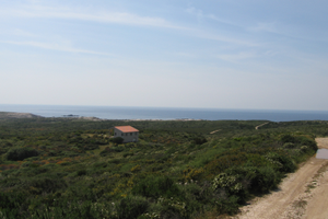 Casa agricola e terreno Stintino