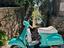 Immagine 3