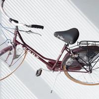 Bicicletta donna olandesina SCOUT ORIGINALE 