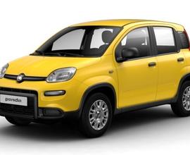 Fiat Panda 1.0 Hybrid 70cv - NUOVA DA IMMATRICOLAR