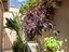Immagine 12