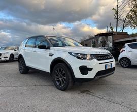 Land Rover Discovery Sport 2.0 TD4 AUTOCARRO