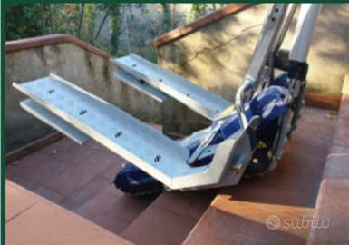 Carrello cingolato per disabili