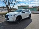 lexus-nx300h-2-5-hybrid-4wd-luxury