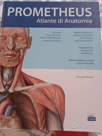 Atlante di Anatomia PROMETHEUS